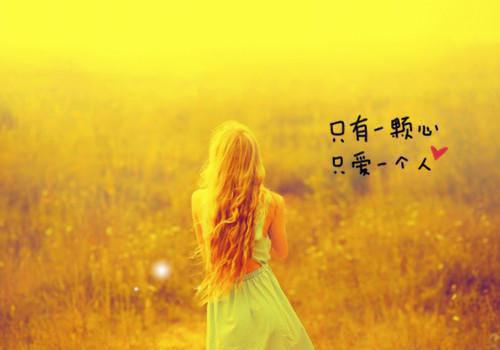 描写西湖的诗句——《西湖梅》