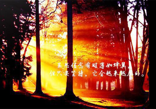 笑死人的一句话经典语录
