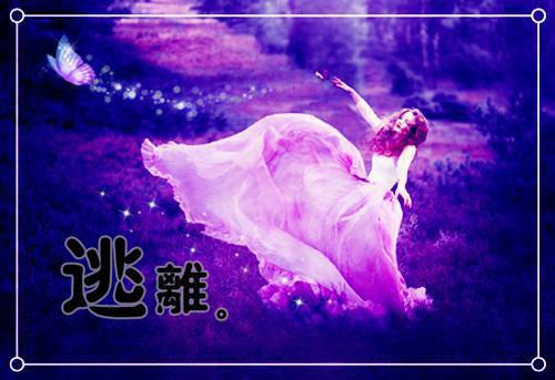 许述白南泱全文免费阅读（夏花浮影）全文免费许述白南泱读无弹窗大结局_许述白南泱全文免费许述白南泱读（夏花浮影）最新章节列表_笔趣阁（许述白南泱）