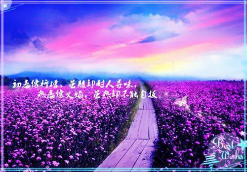 秦王灭六国的故事