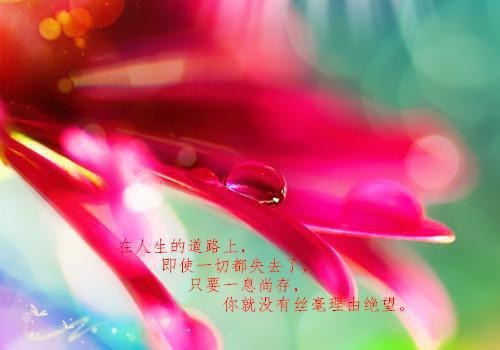 你的名字中的经典台词中日对照