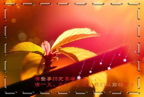大江保卫战的感人故事