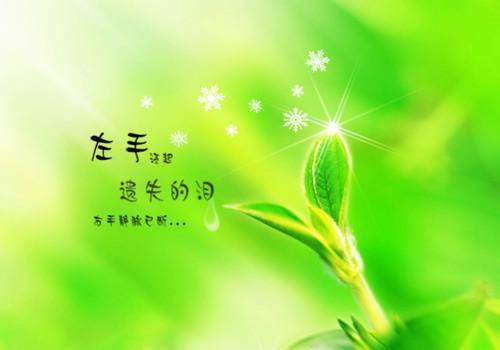 全文浏览你的心给了谁：+后续+结局优质全章（林栖梧沈鸿朗）_你的心给了谁：+后续+结局优质全章林栖梧沈鸿朗最新章节
