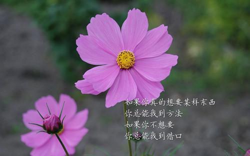 感悟人生的经典句子：八条经典人生感悟