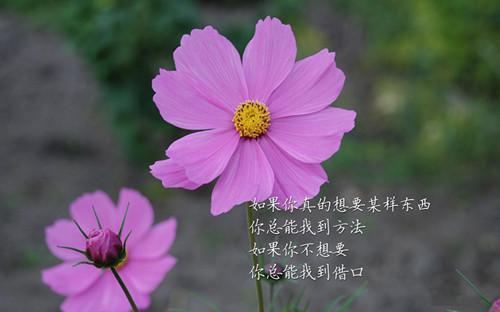 公司员工年终个人工作总结集锦8篇