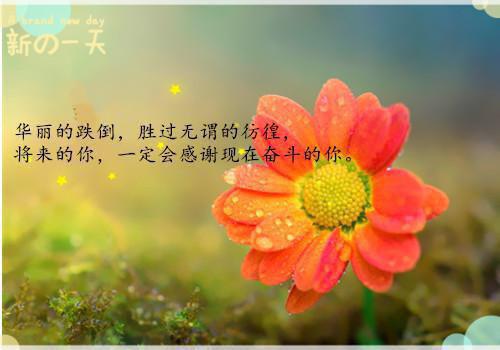 （江朝华燕景）重生后，恶毒女配拿稳白月光剧本江朝华燕景延伸在线下载无广告章节清单