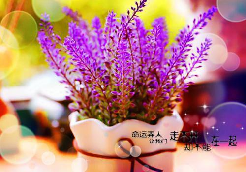 投资公司个人年终工作总结