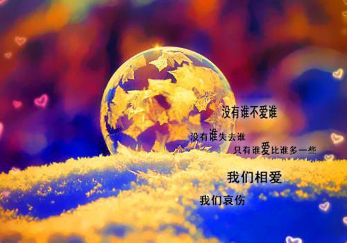 青年志愿者工作活动总结