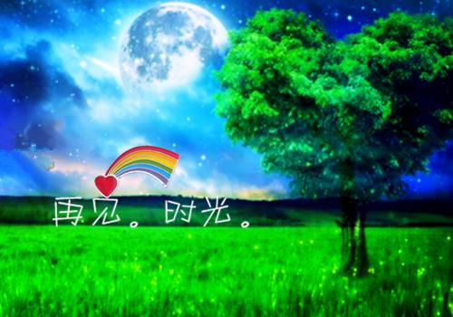 SEO专员的辞职报告