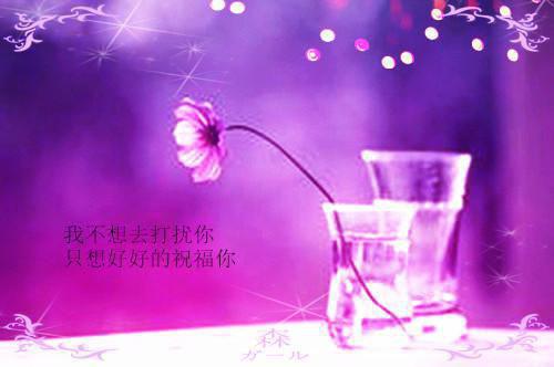 满园春色故人归：结局+番外（满园春色故人归叶木夕谢暮云：结局+番外）完结阅读无弹窗大结局_(叶木夕谢暮云)最新章节列表_笔趣阁（满园春色故人归：结局+番外）