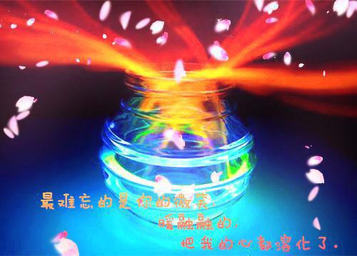 机关中层干部述职报告范文