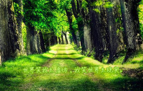 短篇爱情故事大全