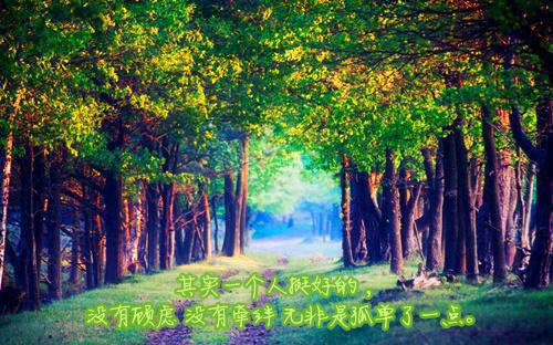 关于对人生感悟的心情文章