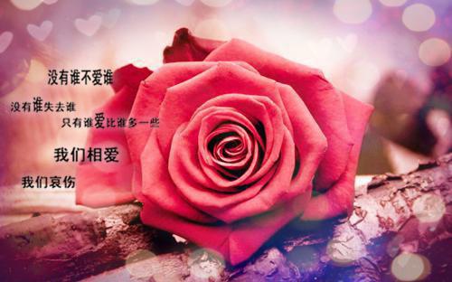 思念的诗句——《中秋寄杨学士》