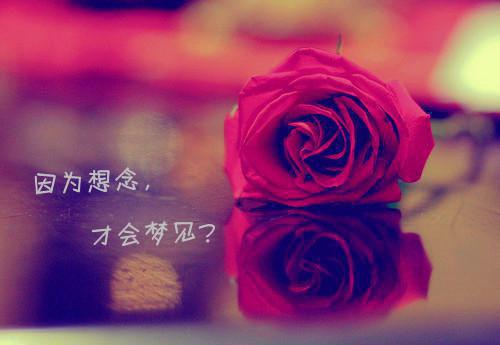 展望未来的诗句——《敬业会变成一种习惯》