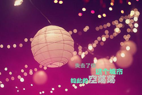 八年级政史地生备课组工作总结