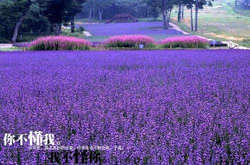 【精选】教师年终工作总结4篇