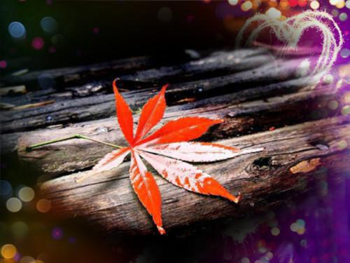 父亲60古稀大寿贺词