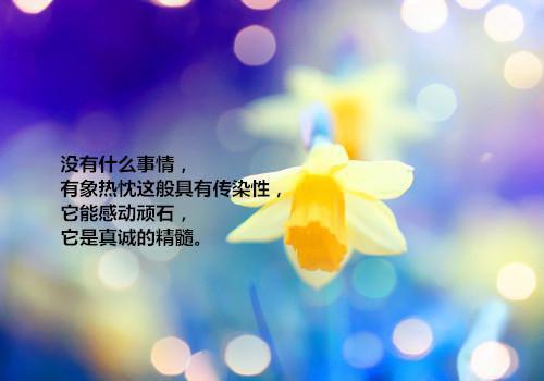 巴甫洛夫名言名句