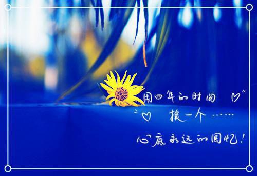 学校教师辞职申请书3篇