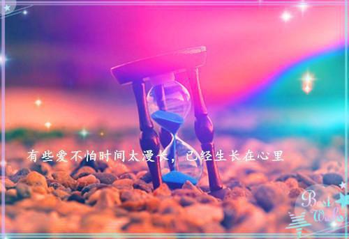 关于爱情散文