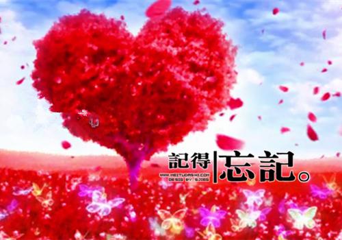 个人向个人借款协议书范本