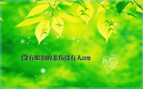 终年难解(陈柚江程)全文免费阅读无弹窗大结局_(终年难解免费阅读)陈柚江程免费阅读无弹窗最新章节列表_笔趣阁（陈柚江程）