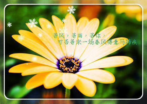 离别祝福语参考