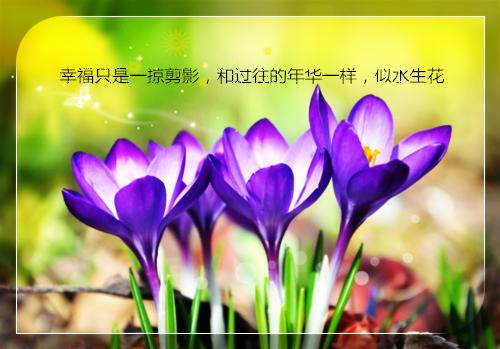 只要努力就会成功作文5篇
