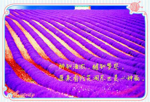 发动机拆装实习报告范文