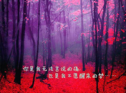 温馨2023唯美爱情名言名句