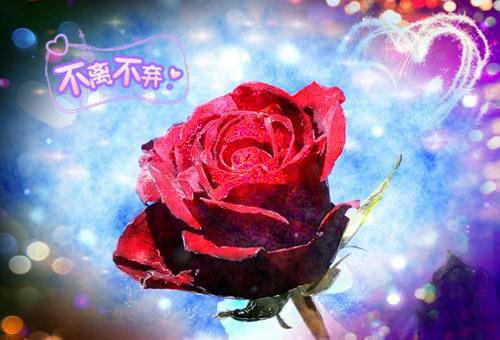 专业认识实习报告格式