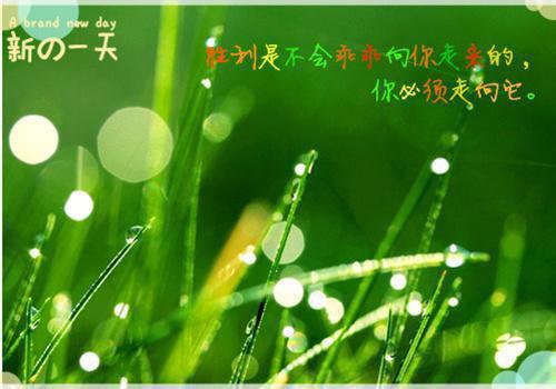 关乎爱情名言名句