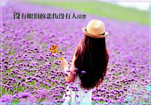 关于品读人生感悟的文章