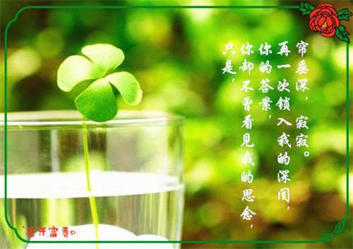 担保借款合同2023