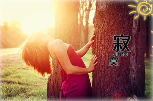 描写冬天的诗句——《冬华一夜霜》
