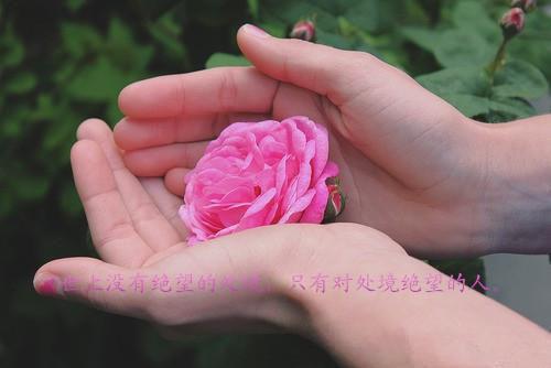 老子名言名句大全