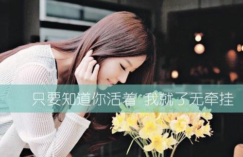 秒速5厘米全部经典台词