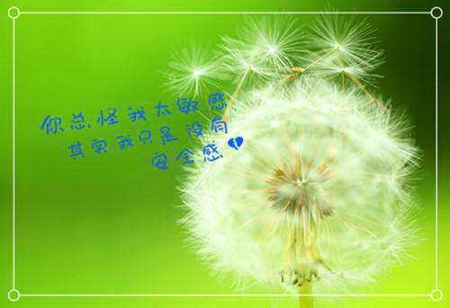 赞美大学的散文精选3篇