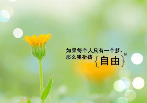 【推荐】中学教学工作总结范文集锦九篇
