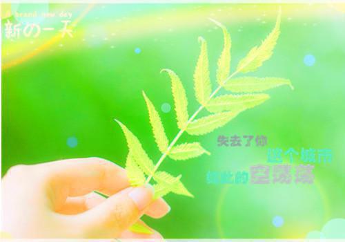 少先队年终工作总结合集九篇