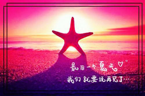 本科生国贸暑期实习报告