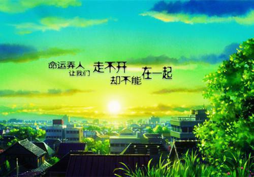 班主任培训工作总结