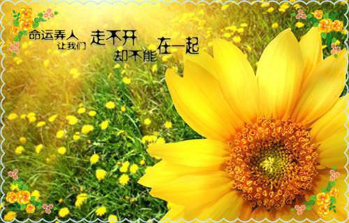 【实用】内科工作总结集合六篇