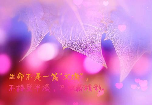 高考梦想励志语言
