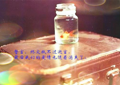 最新敬业乘务辞职报告范文