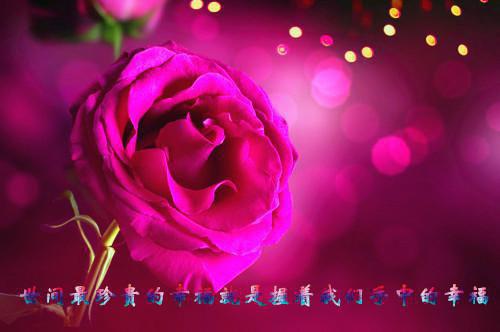 关于父亲节的诗歌——《父亲的十月》