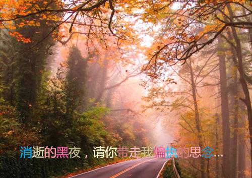 描写人物神态的经典语录