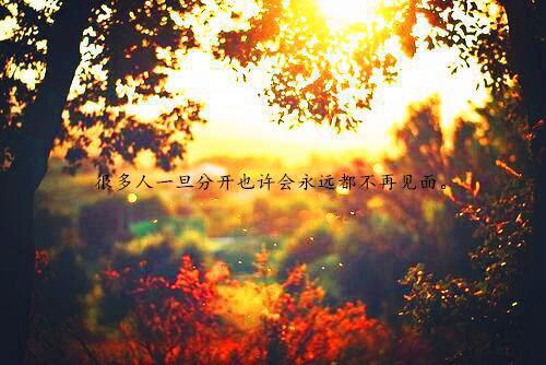 最新结婚幽默祝福语大全