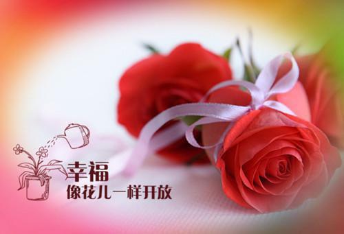 油菜花儿开